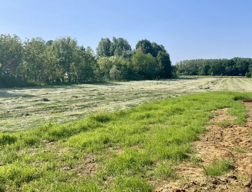                                         Terrain à bâtir à vendre à Tielt, € 149.000
