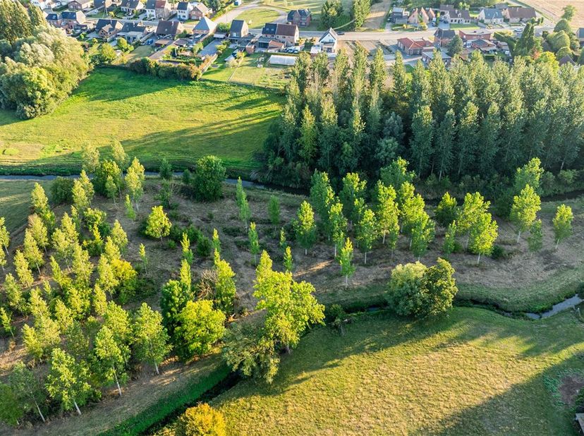 Terrain à vendre
                    à 3512 Stevoort