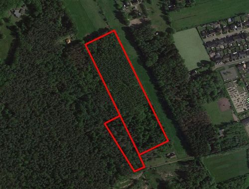                                         Bos te koop in Stekene, € 169.000
