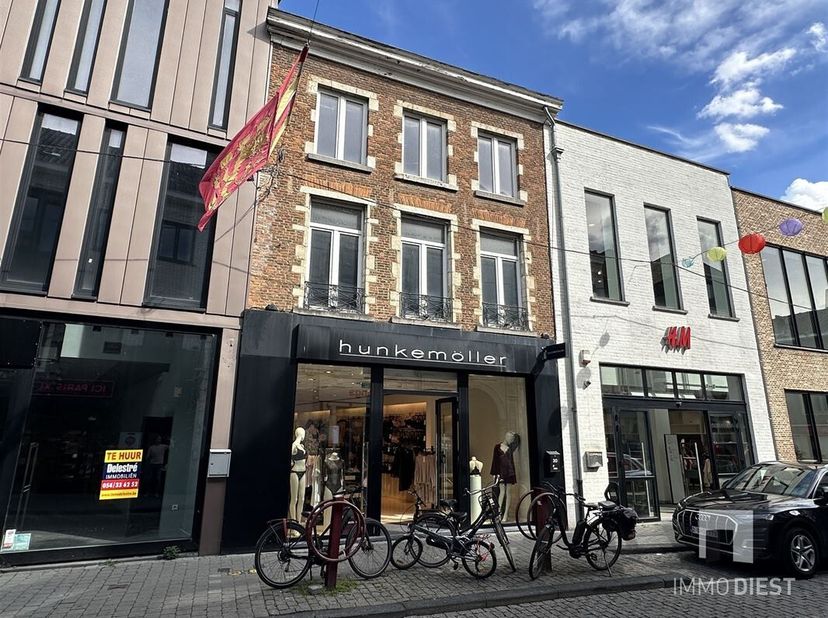 Bien professionnel à vendre
                    à 3290 Diest