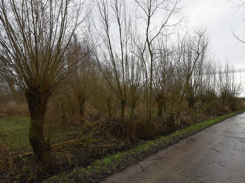 Bent u op zoek naar een rustig gelegen stukje natuur waar u volledig tot rust kunt komen? Dan is dit mooie perceel bosgrond in het landelijke Appels p