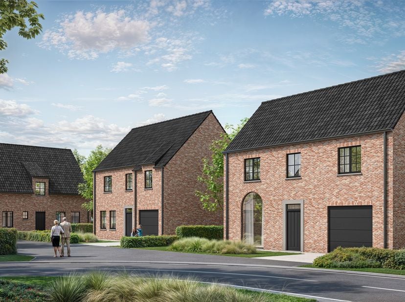 Project te koop in Magdalena Huysstraat 999,
                    8700 Tielt