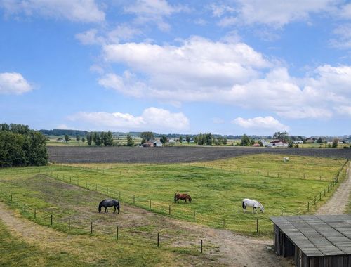                                         Landbouwgrond te koop in Slijpe, € 89.000

