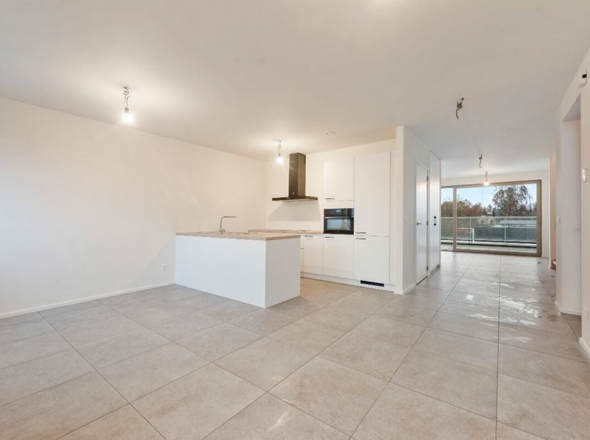 benspark, vous vivez au calme, avec de lespace et tourné vers lavenir. Ces maisons 2 ou 3 chambres offrent de vastes pièces de vie lumineuses et un ja