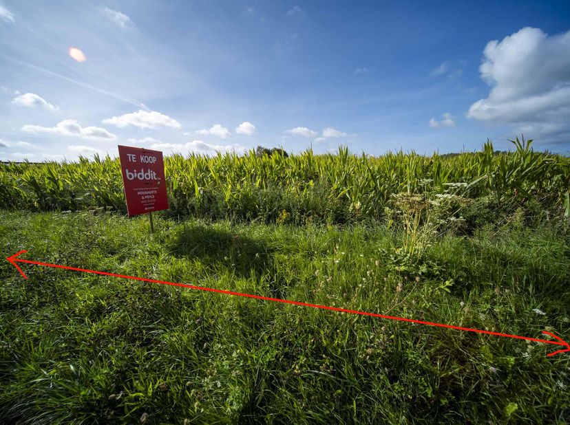 Grond te koop in Russelt,
                    3830 Wellen