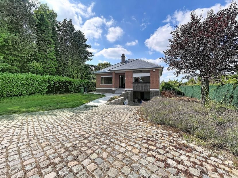 Maison à louer
                    à 3380 Bunsbeek