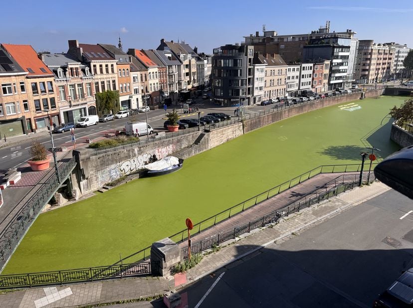 Appartement te huur in Leiekaai 1 bus 302,
                    9000 Gent