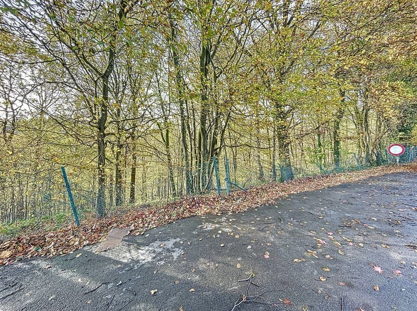 TERRAIN de ± 1.875m² :<br />
► Orientation : Sud-Ouest,<br />
► Largeur façade : ± 35m,<br />
► Profondeur : ± 24m,<br />
► Relief : plat + pente desc