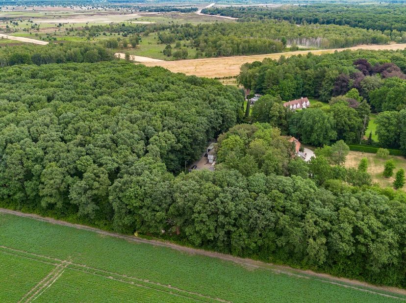 La maison est située dans une impasse très calme, dans un cadre exceptionnel au cœur de la verdure. Vous y profiterez d'un maximum de tranquillité et
