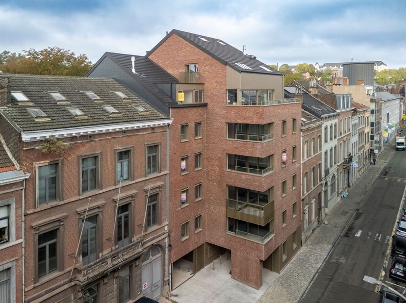 Project in rue Louvrex 44,
                    4000 Liège