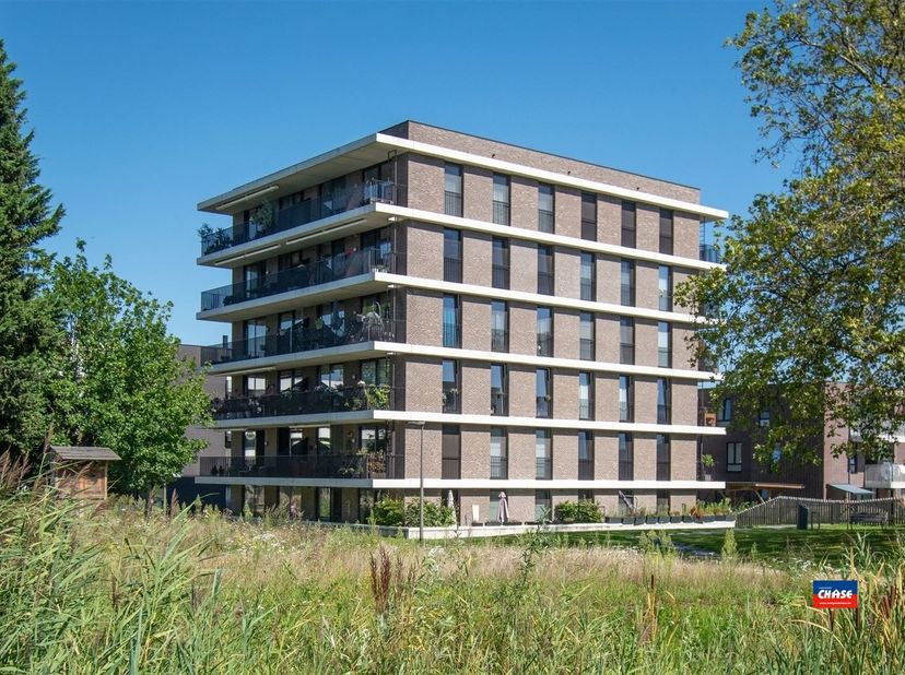Appartement te huur in Schaapskooi 35 bus 503,
                    2660 Hoboken