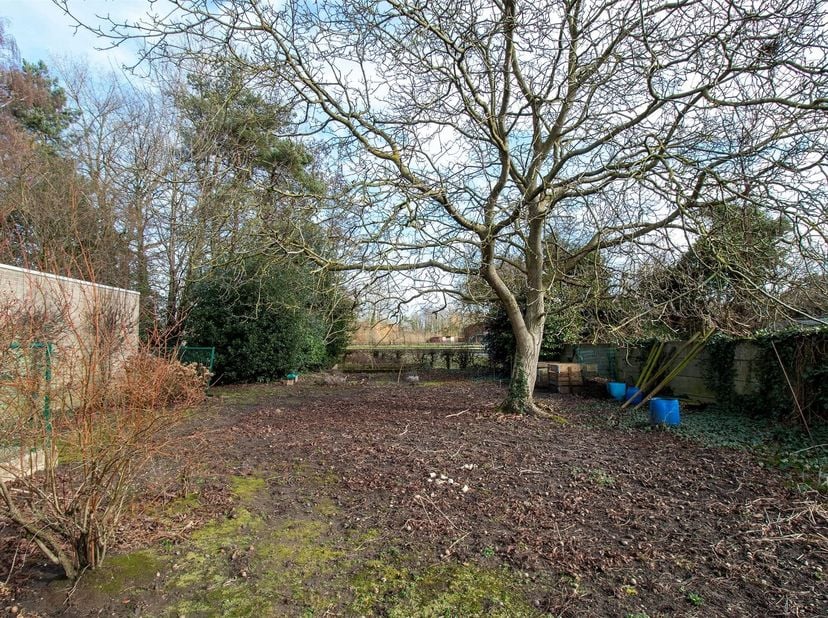 Terrain à vendre
                    à 2560 Nijlen