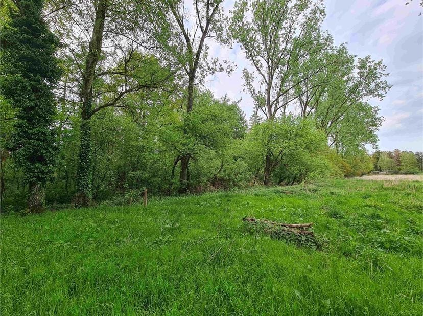 Terrain à vendre
                    à 3941 Eksel