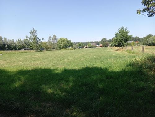                                         Prairie à vendre à Willebroek, € 60.000
