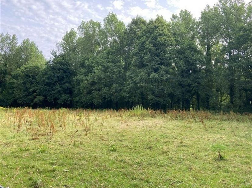 Weiland op 2 percelen met een totale oppervlakte van 1ha 6a 95ca in Vorst<br />
Ligging: Gelegen in een groene en rustige omgeving in Vorst<br />
Omsc