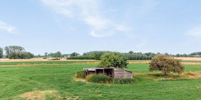 Grond te koop in 9255 Opdorp