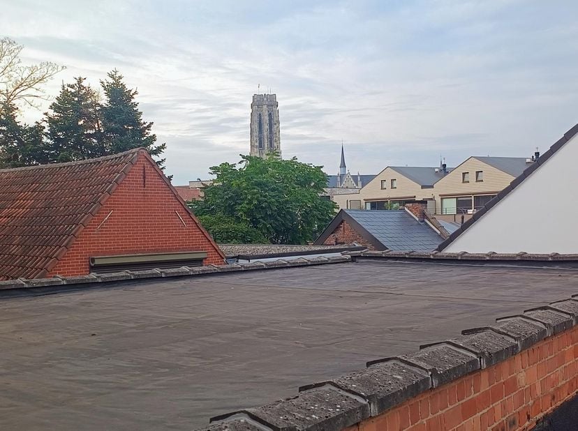 Maison à vendre à Onze-Lieve-Vrouwestraat 57,
                    2800 Mechelen