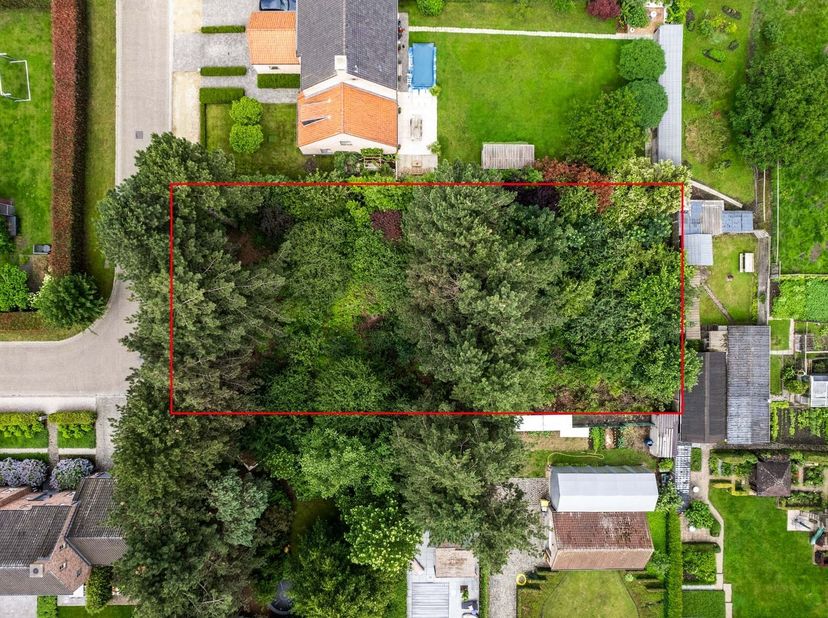 Villagrond gelegen aan de dreef in Noorderwijk<br />
<br />
Deze bouwgrond van 1.217m2 met een straatbreedte van 24,5m en diepte van 49,5m is geschi