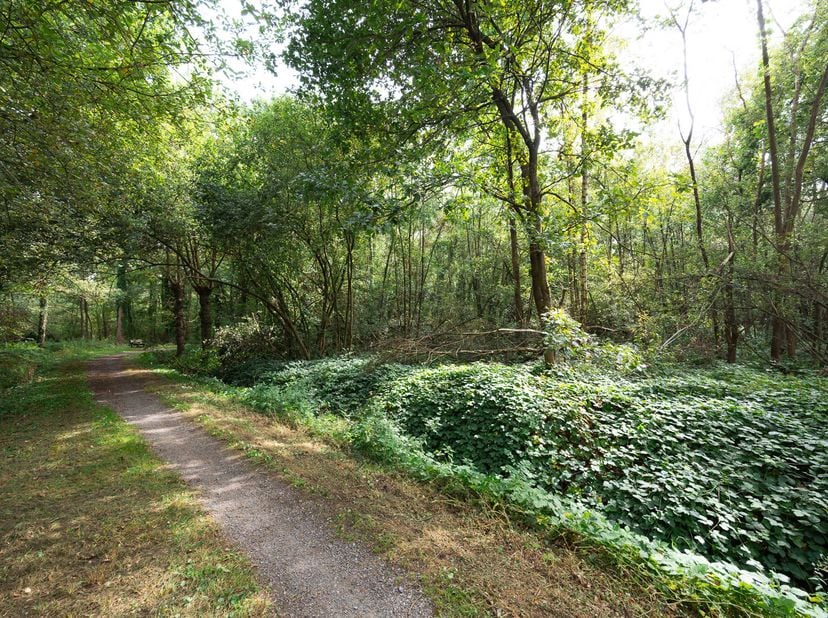Grond te koop in Steestraat,
                    3120 Tremelo