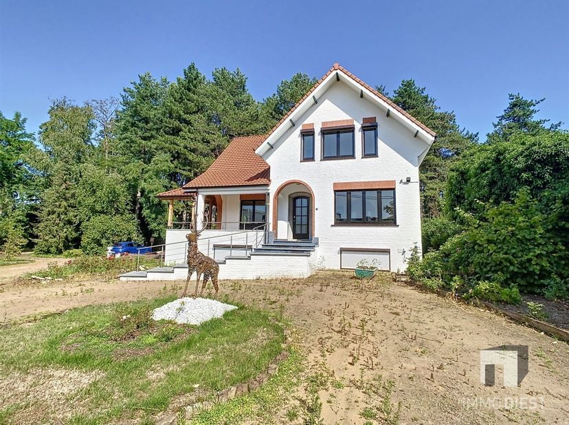 Het huis uit wandelen en niets dan groen zien. Wat een heerlijk gevoel! Deze zeer ruime recent gerenoveerde woning met bos, ook geschikt voor uitvoeri