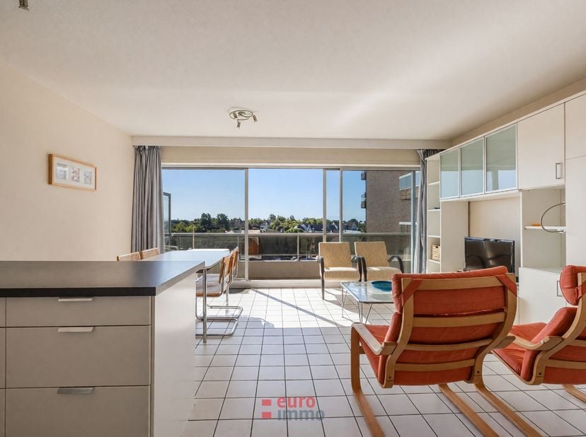 Deze ruime studio met breed terras biedt een mooie opportuniteit te Nieuwpoort-bad. Er is een inkomhal met vestiaire/bergkast; badkamer met ligbad, wa