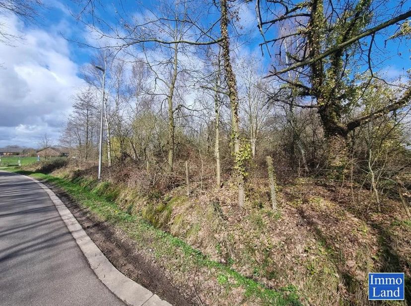 Perceel grond van 75are, gelegen in agrarisch gebied op de grens Hasselt - Diepenbeek, omgeving Mombeekdreef. - Dit perceel is gelegen op de hoek van