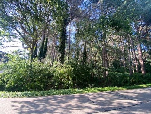                                         Bos te koop in Kessel, € 49.000
