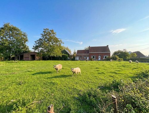                            Fermette te koop in Steendorp
