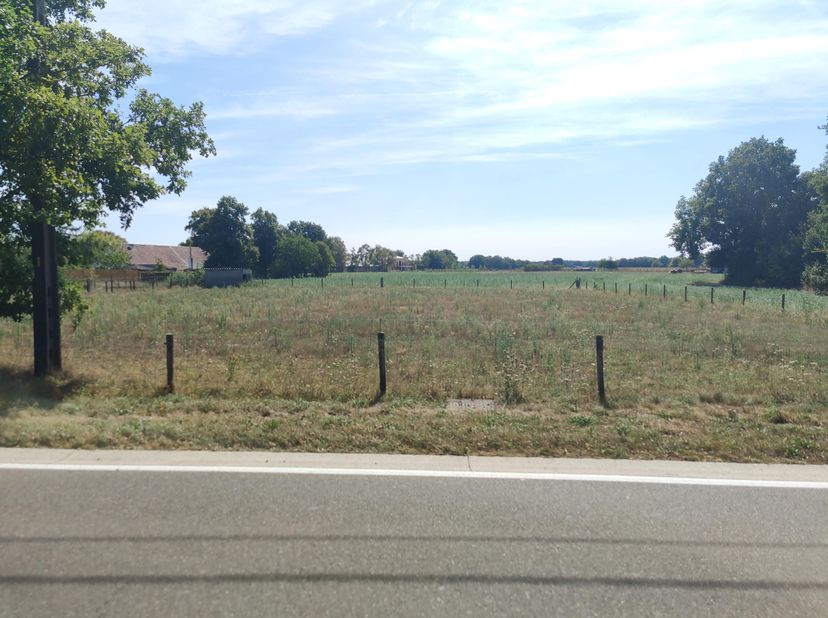 1068m² LANDBOUWGROND te koop in Neerpelt. <br />
Vrij van gebruik.<br />
Toegankelijk via de openbare weg.