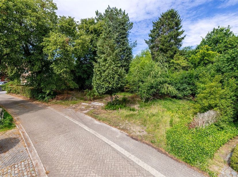 Gunstig gelegen bouwgrond/projectgrond te Bergom.<br />
Perceel van 35a78 met een straatbreedte van ca 32m en een diepte van ca 95m.<br />
Ligging: Ru