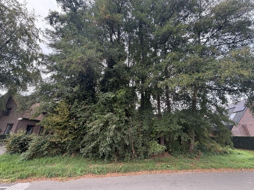 Terrain à vendre à Schansbroekstraat 5,
                    3600 Genk