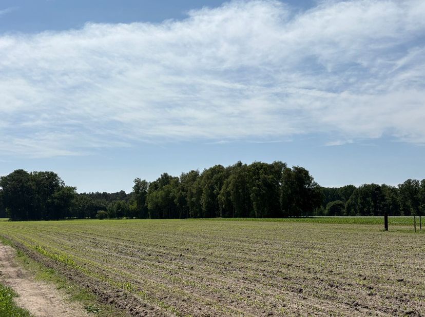 Terrain à vendre
                    à 2440 Geel