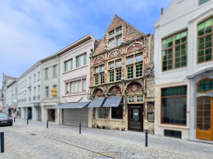 Bien professionnel à vendre
                    à 9700 Oudenaarde