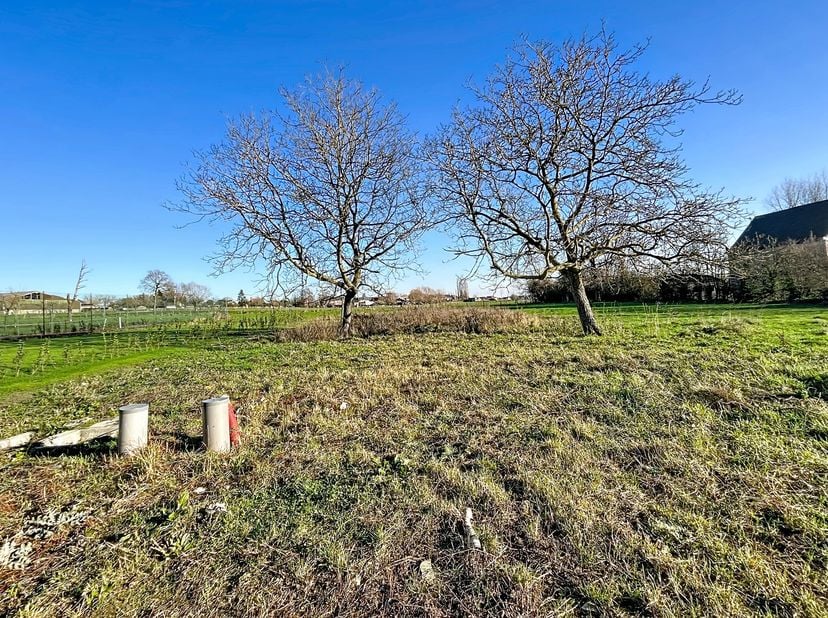 Profitez de l'harmonie entre le confort contemporain et un mode de vie tourné vers l'avenir près de Ninove !<br />
SITUATION<br />
Cette villa économe