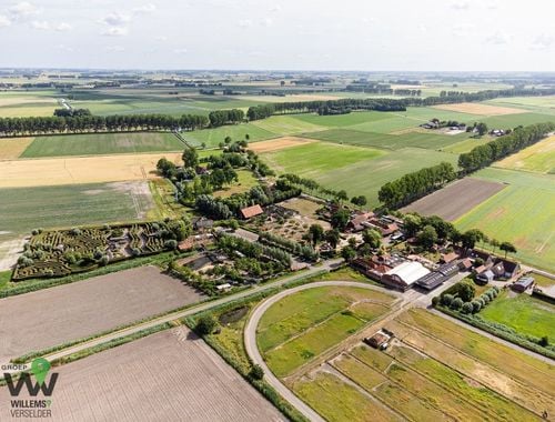                             Horeca à vendre à Sint-Laureins
