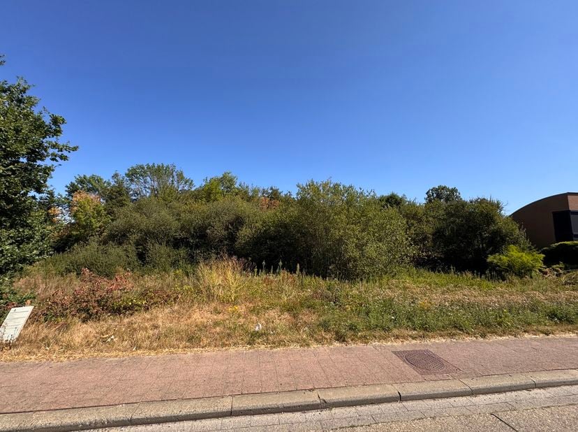 Perceel lot 2 + lot 5:<br />
Deze bouwgrond, gelegen aan de Tieltseweg in Rillaar, geniet van een aangename ligging met goede bereikbaarheid. Het cent