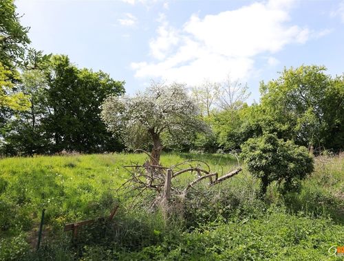                                         Bouwgrond te koop in Cour-sur-Heure, € 75.000
