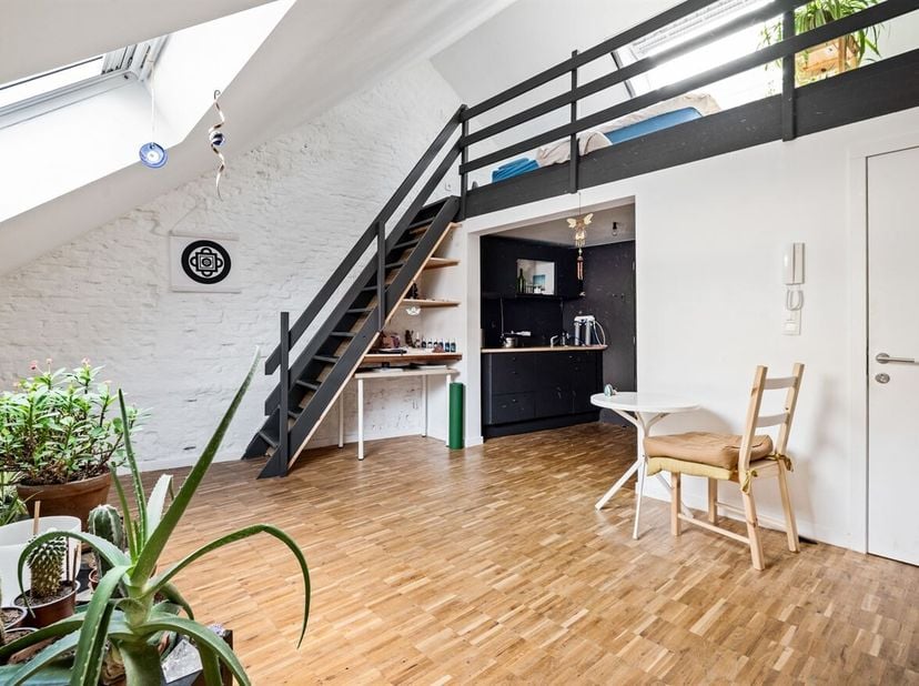 Ligging: De studio aan de Carnotstraat 152 ligt op een centrale locatie op wandelafstand van Station Antwerpen-Centraal. In de directe omgeving zijn t