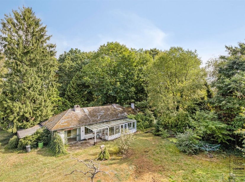 Maison entièrement à rénover ou à démolir sur un beau terrain de 2.682 m² dans le quartier vert et recherché de Schilde !<br />
<br />
A rénover : S