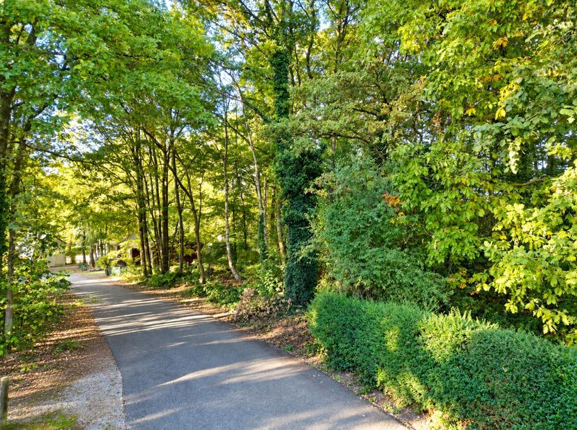 Grond te koop in Le Concy 1272 C9,
                    6987 Marcourt