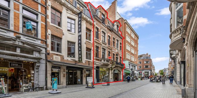 Maison à vendre à Leopold Vanderkelenstraat 13, 3000 Leuven