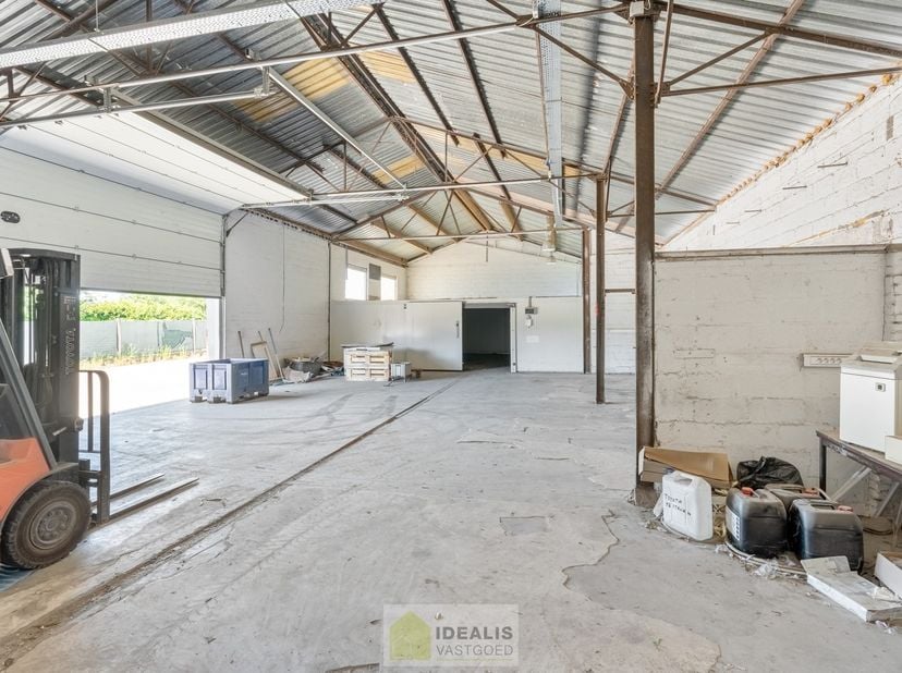 IDEALIS VASTGOED – Ruim magazijn met conciërgewoning/kantoor op een perceel van +-16are. Het magazijn beschikt over een royale bruikbare oppervlakte (