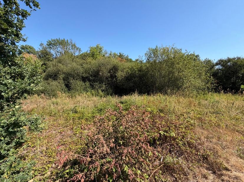 Perceel lot 3:<br />
Deze bouwgrond, gelegen aan de Tieltseweg in Rillaar, geniet van een aangename ligging met goede bereikbaarheid. Het centrum van