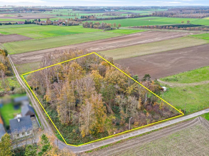 Mooi bos op 5.467m² grond<br />
Altijd al willen wandelen in je eigen bos? <br />
Nu is de ultieme kans om een bos aan te kopen. <br />
Gelegen in Wac