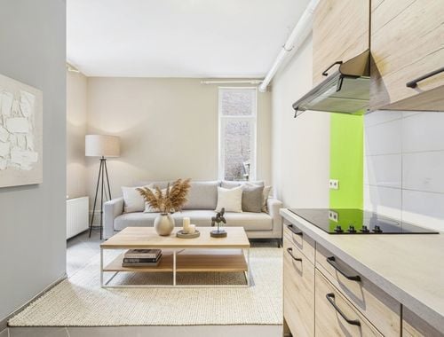                                        Appartement à louer à Bruxelles, € 800
