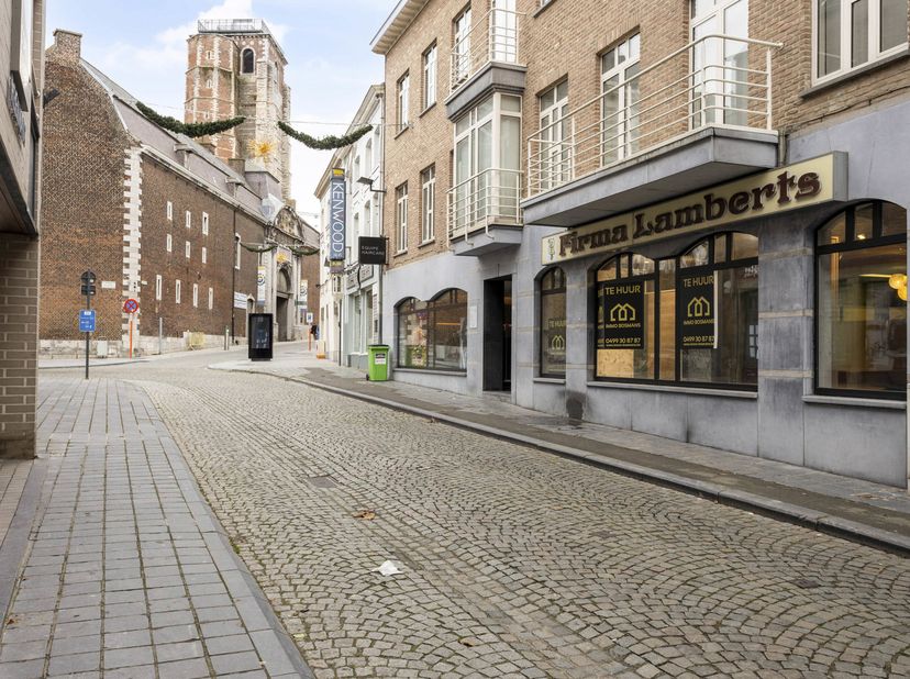 Bien professionnel à louer
                    à 3800 Sint-Truiden