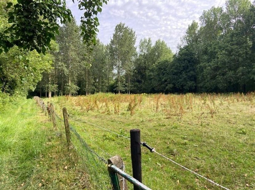 Weiland op 2 percelen met een totale oppervlakte van 1ha 6a 95ca in Vorst<br />
Ligging: Gelegen in een groene en rustige omgeving in Vorst<br />
Omsc