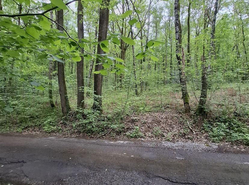 RECREATIEGROND TE OIGNIES-EN-THIÉRACHE<br />
<br />
Ontdek dit schitterende perceel van 3835 m² gelegen in het pittoreske Oignies-en-Thiérache., vla