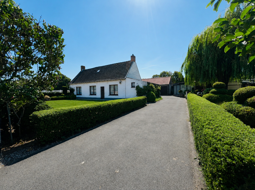 Maison à vendre
                    à 8340 Sijsele