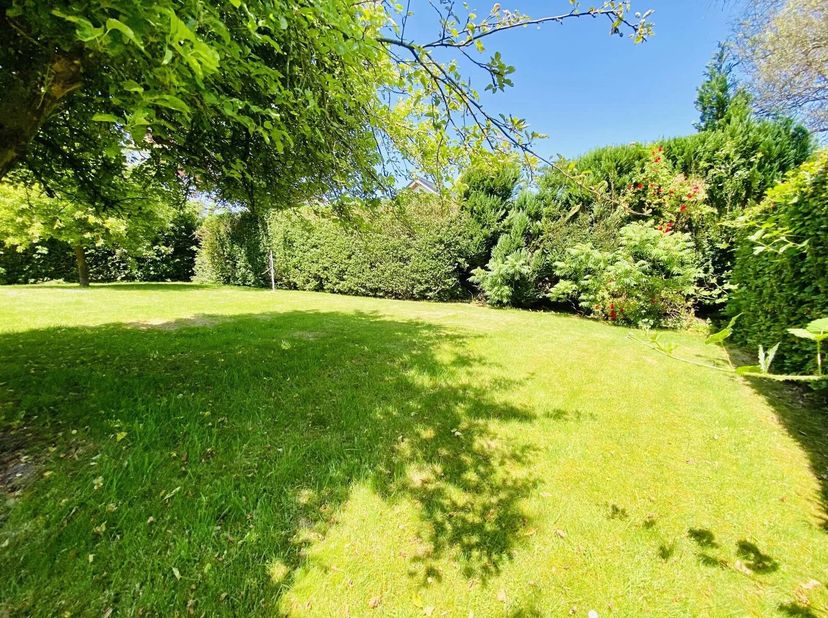 Nabij het centrum van Waterloo, openbaar vervoer, winkels en scholen, prachtige villa van ± 240m² in een rustige en groene omgeving met grote tuin en